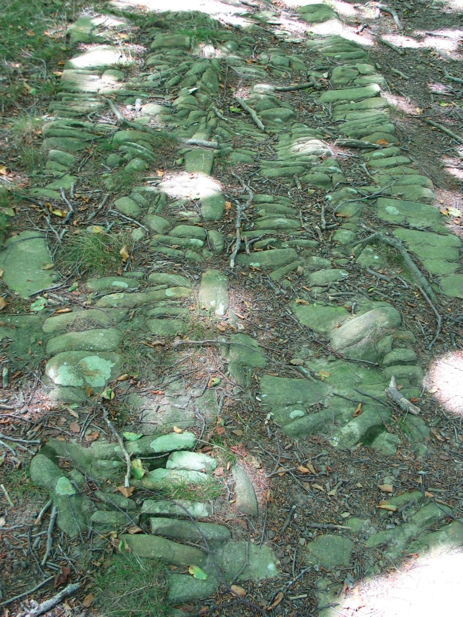 Bernoako galtzada zaharra