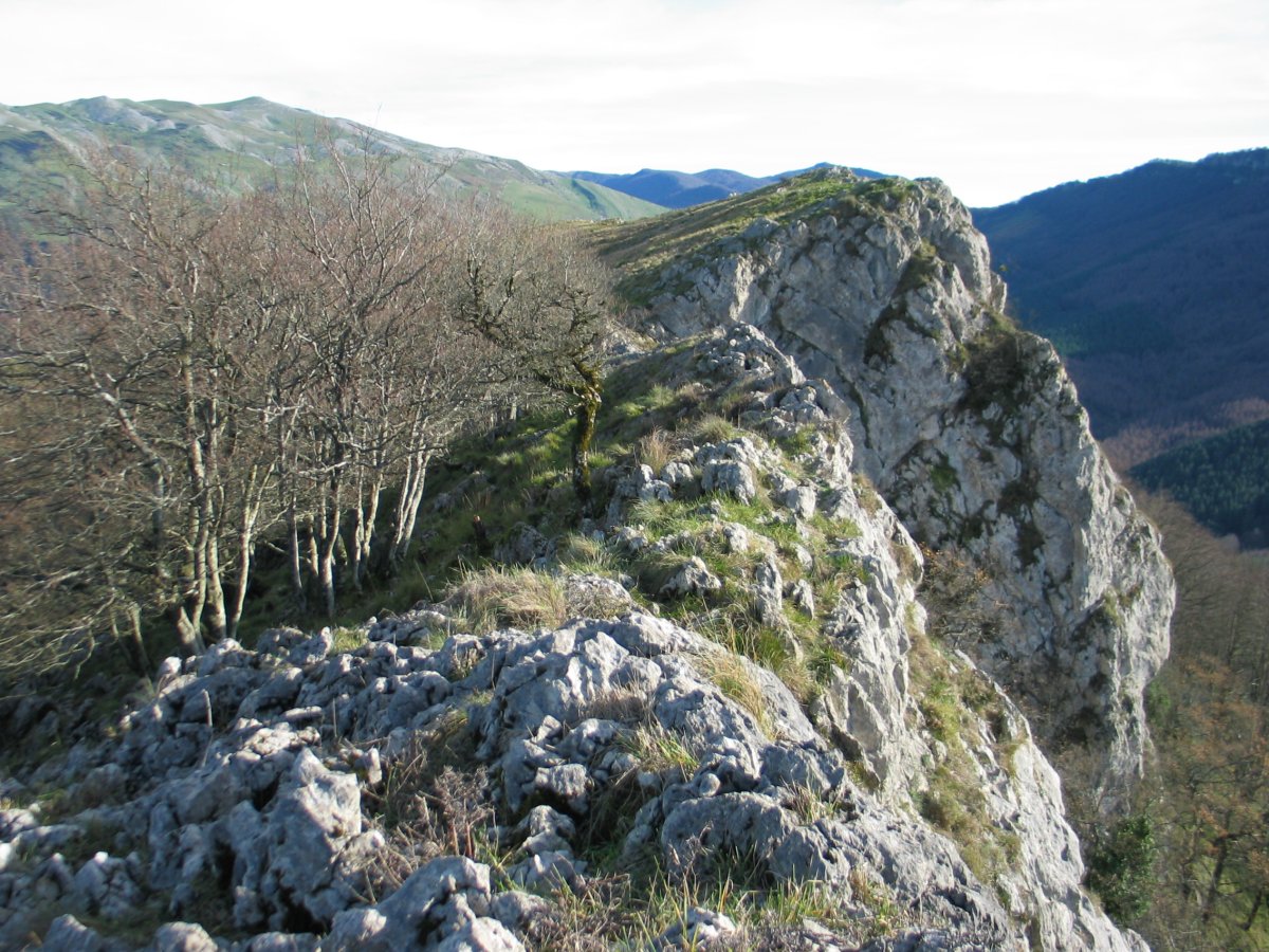 Tontorra mendebaldetik