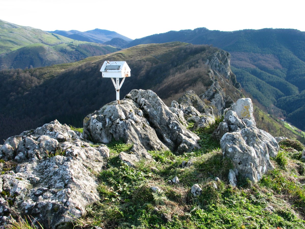 Intzartzu: tontorra eta buzoia