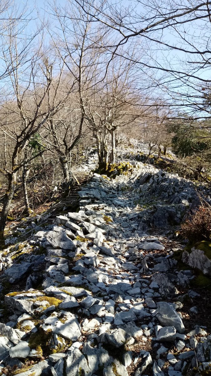 Otsabio eta Laparmendi arteko gandorra