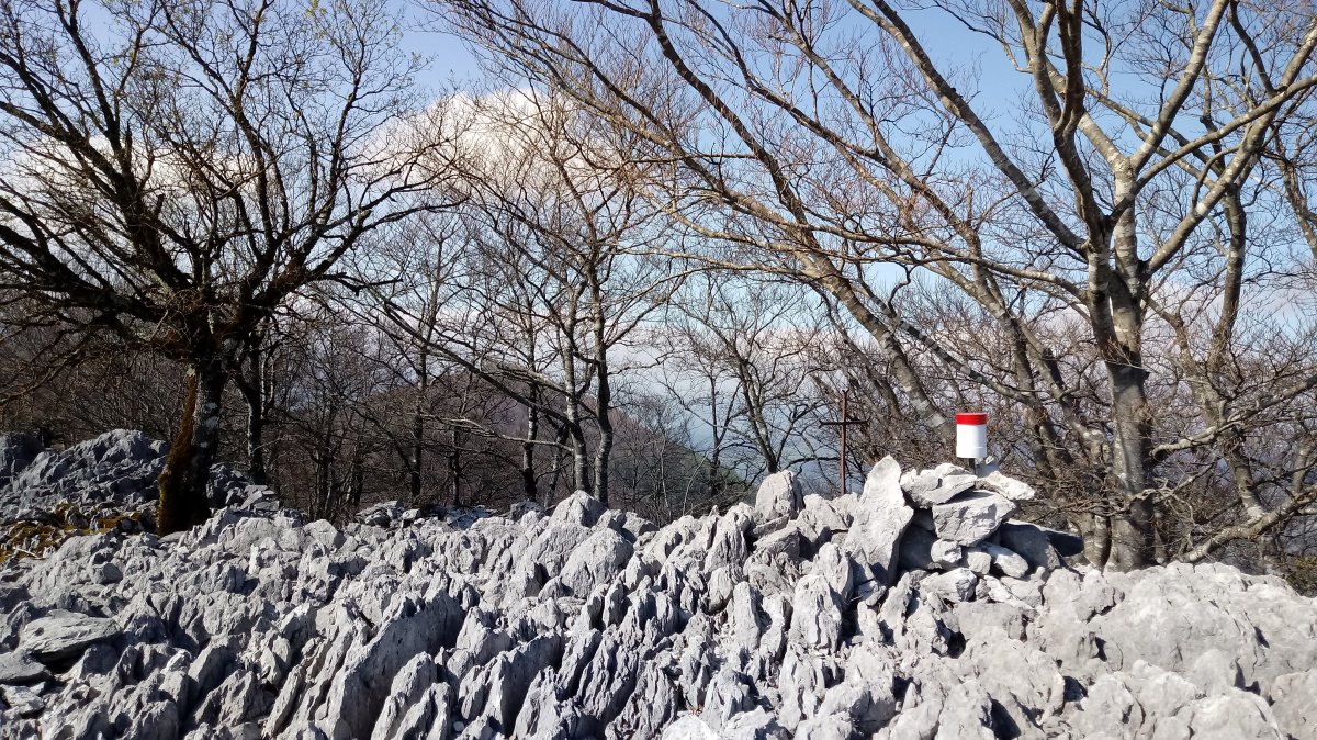 Laparmendi (814m) tontorra