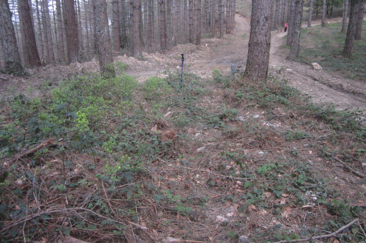 Túmulo Armorazabal  (Marzo 2021)