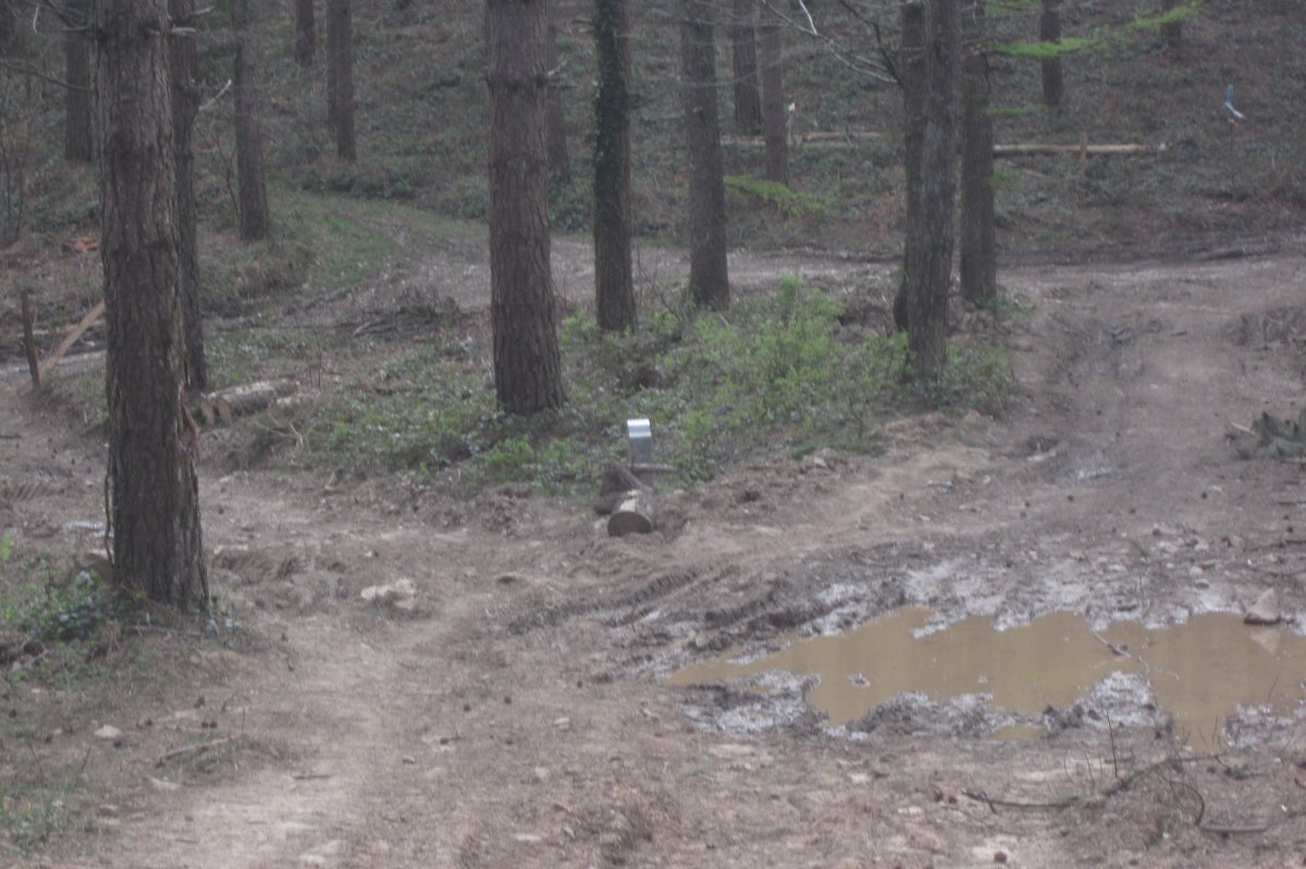 Túmulo Armorazabal  (Marzo 2021)