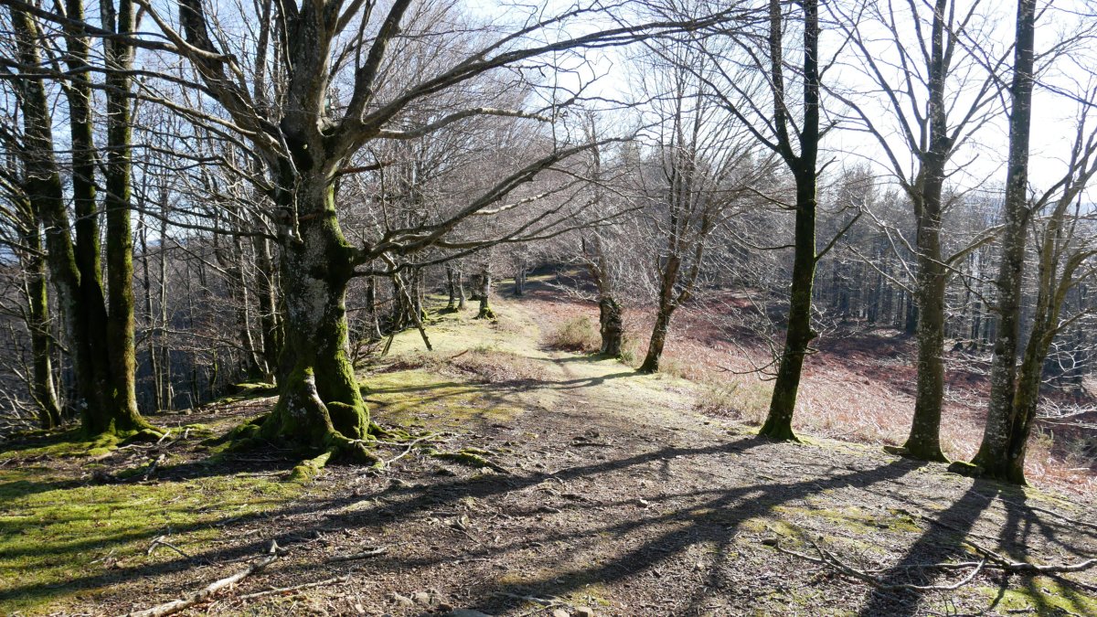 Sasiolako gainera gerturatzen