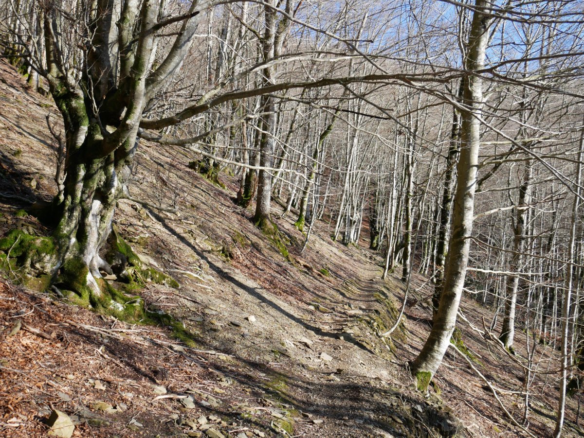 Bidea pagadian barrena, Eguterabasoa aldean