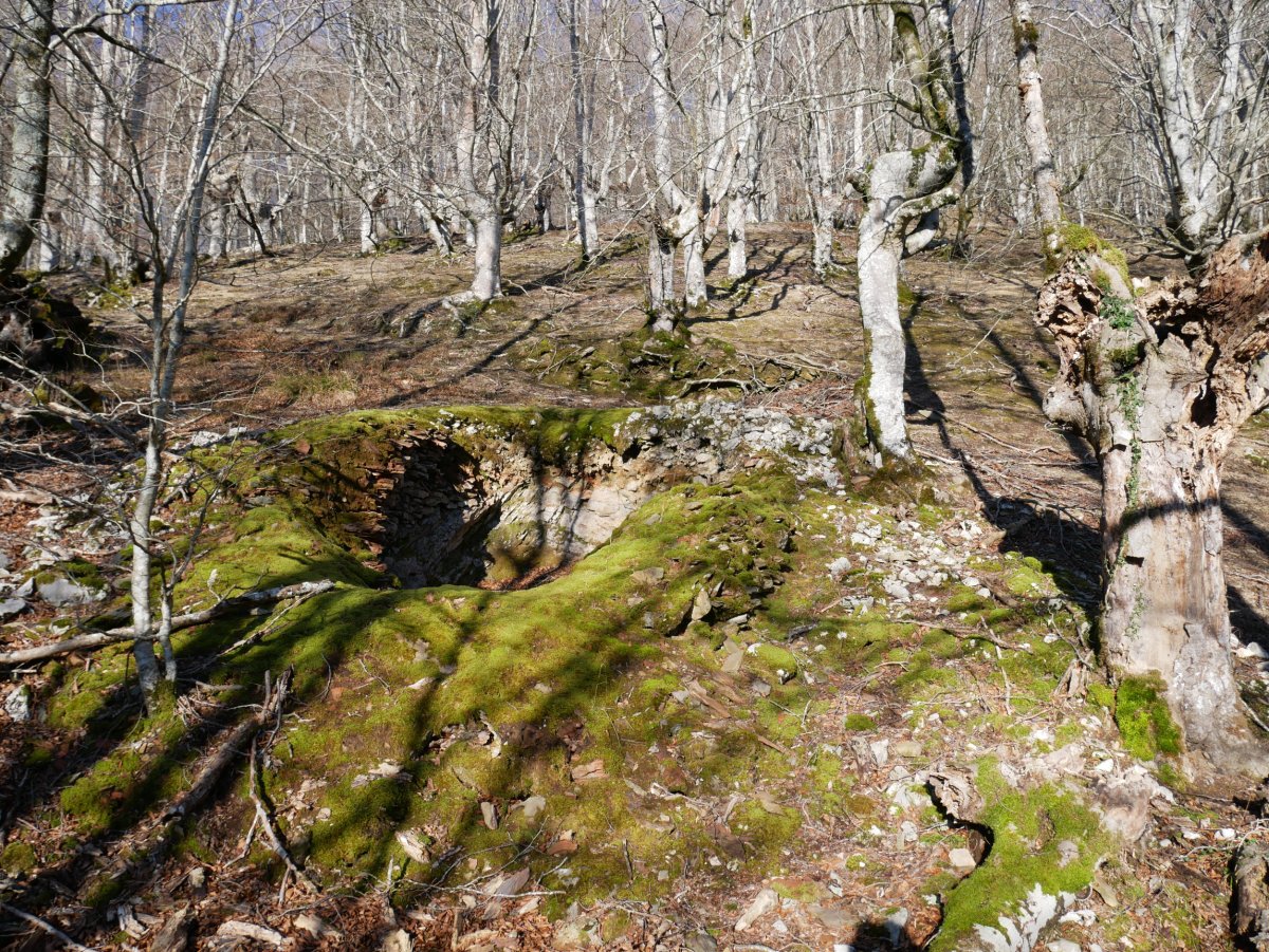 "Karobi txiki" karobiaren aurriak