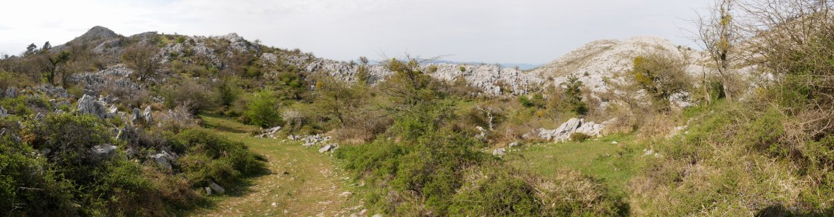 Bidea Pagozelai inguruan