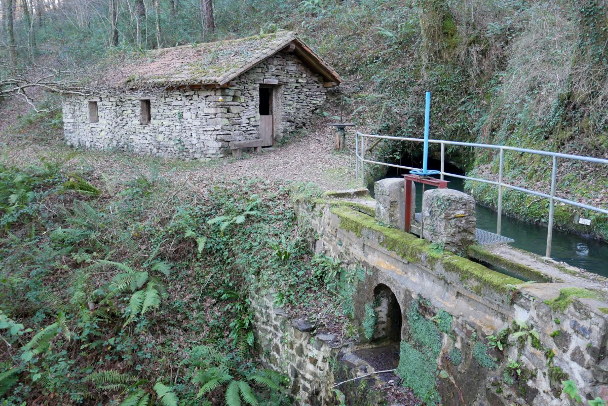 Praixkuren borda eta kanala