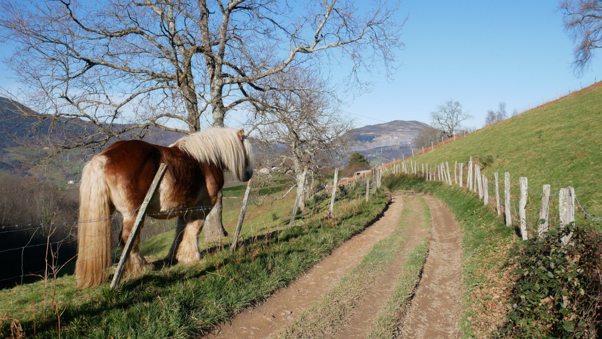 Mugarrietatik Txertuetara jaisten