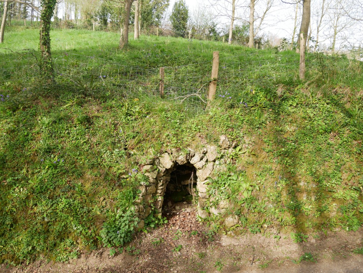 Aginagazpikoa karobia