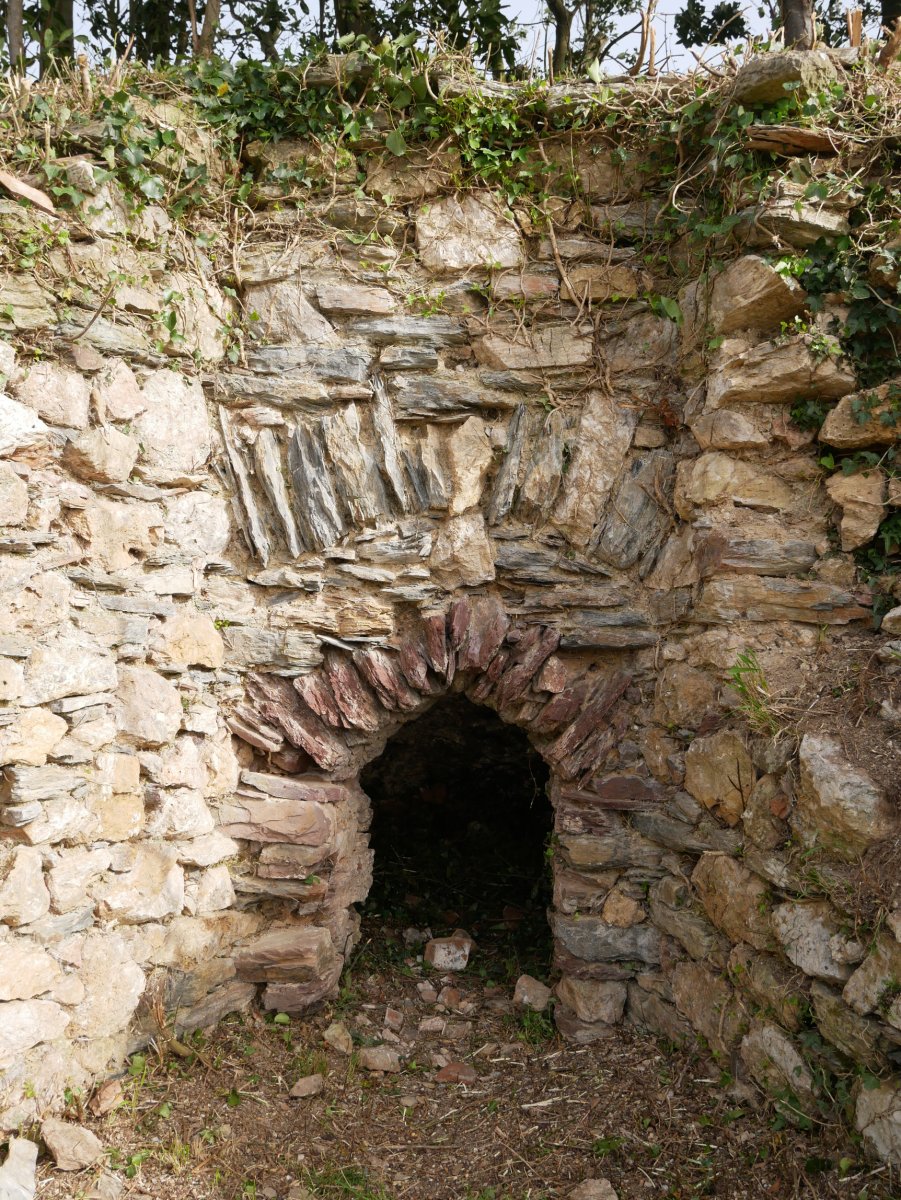 Zumitzaberri karobia