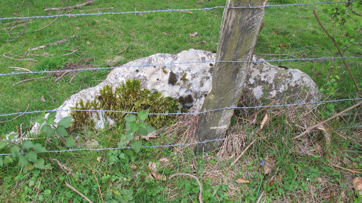 Mugarri Haundi zutarria, Araitz