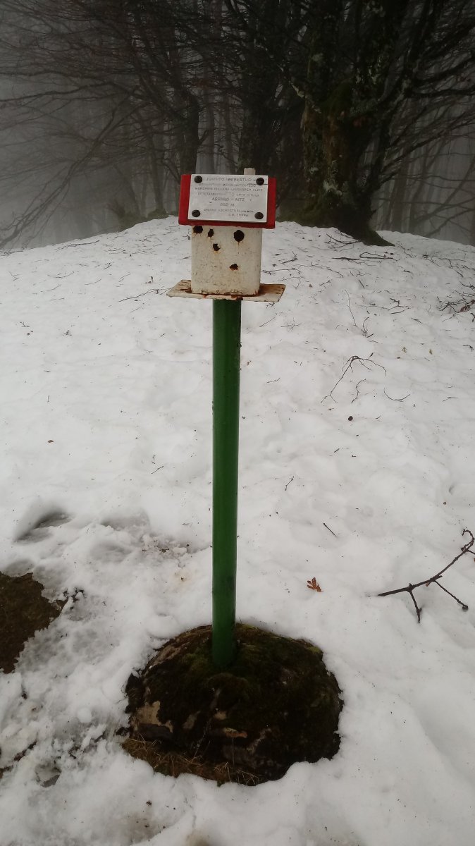 Arranoaitz (899m) postontzia