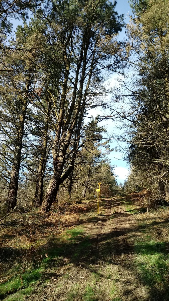 Azalgarate (582m) igoerako azken zatian