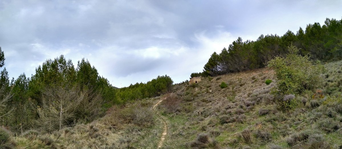 Borda baten hondakinak Alto del Cielo bidean