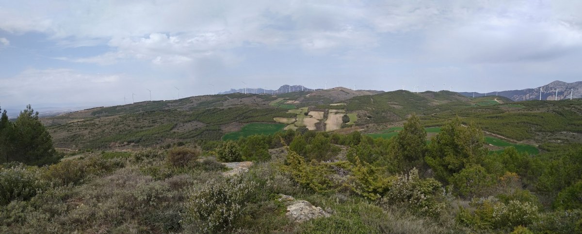 Alto del Cielo, gailurra