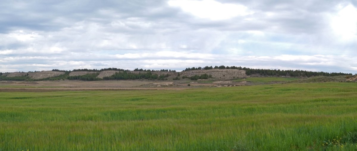 Galsoroak nagusi Barranco Saladon