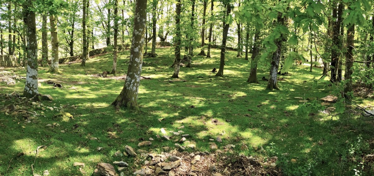 Arlamendiko Mintegia