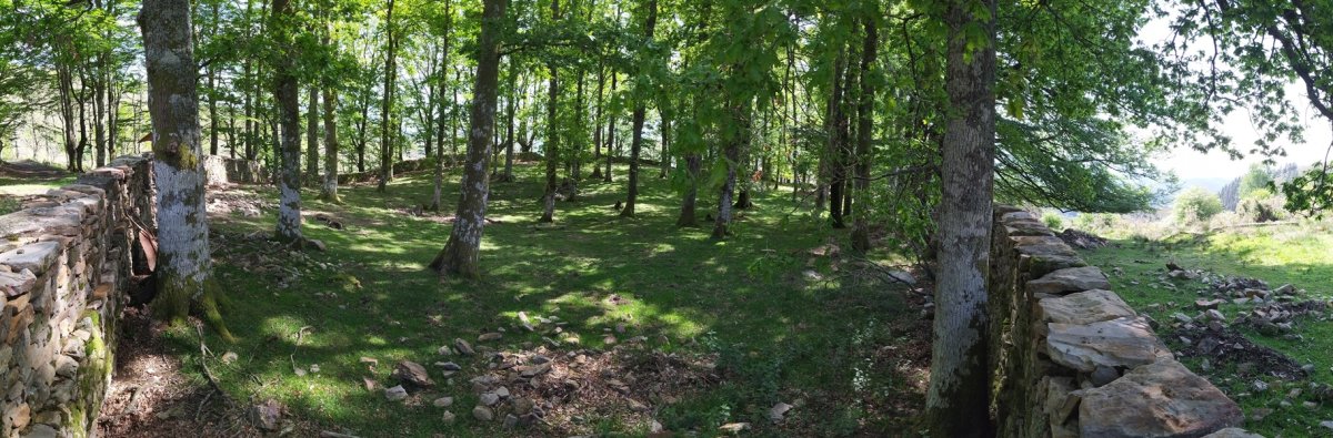 Arlamendiko Mintegia