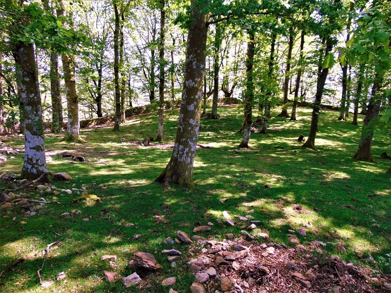 Arlamendiko Mintegia