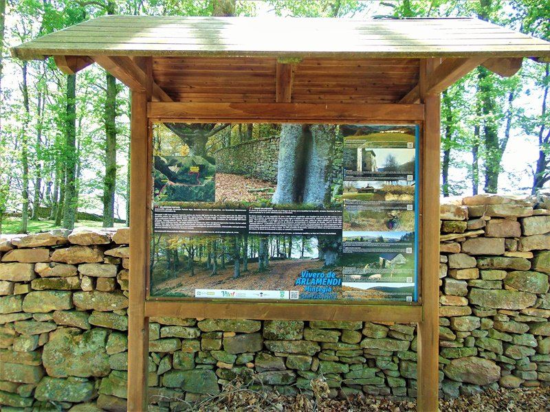 Arlamendiko Mintegia