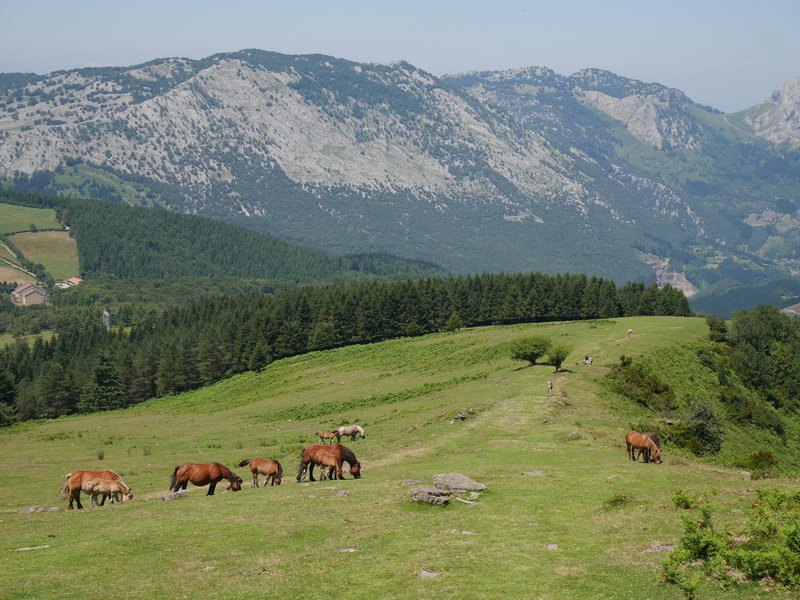 Ipar-mendebaldeko hegia