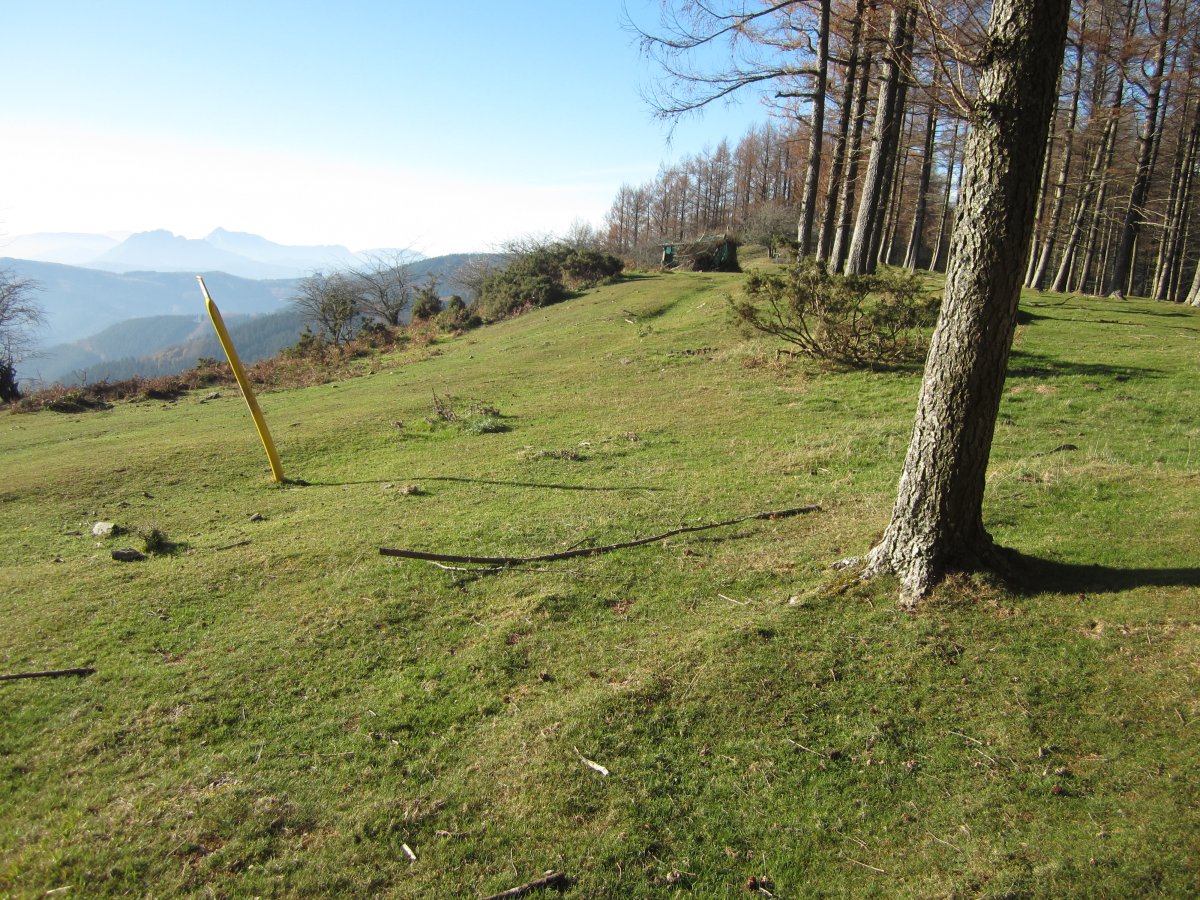 Túmulo Pagola  (Diciembre 2015) Destruido