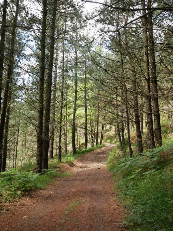 Igoerako pasarte bat