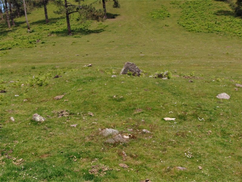 Pozontarriko Lepoa Trikuharria