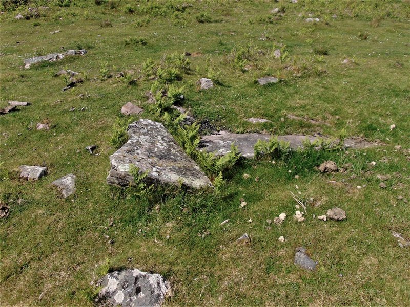 Aballarri Trikuharria