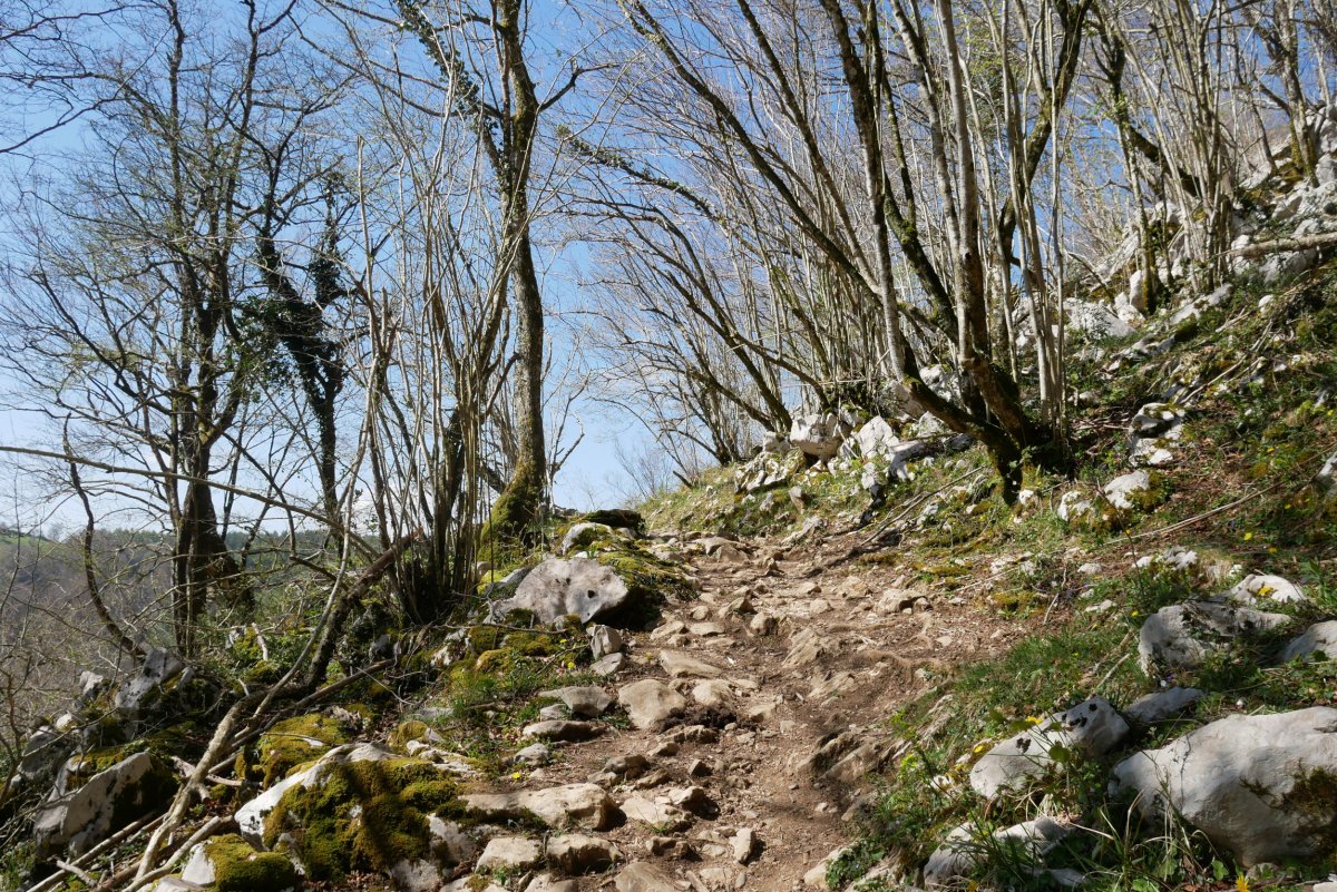 Igoera Hernialde aldetik