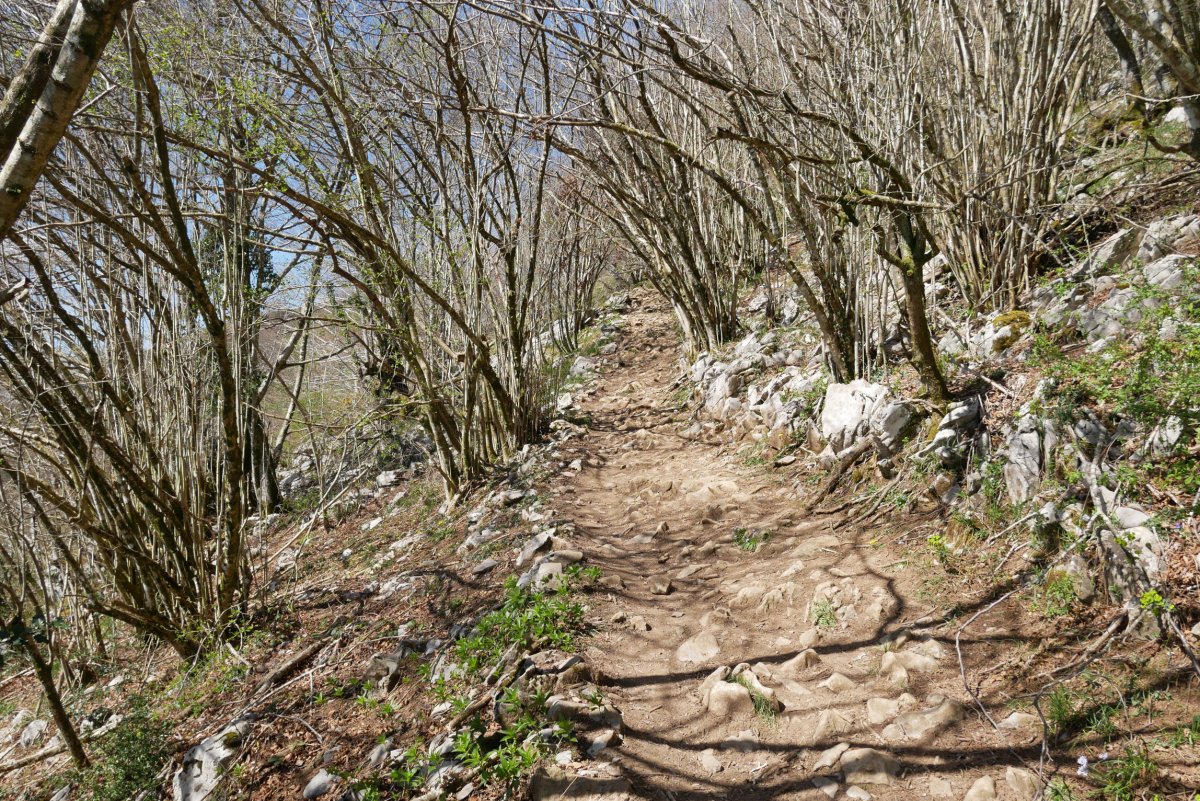 Igoera Hernialde aldetik