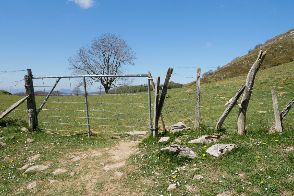 Ataka Lizarbakarra lepoan