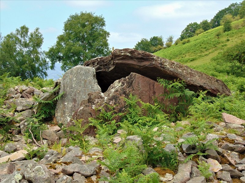 Sagastietako Lepua I Trikuharria