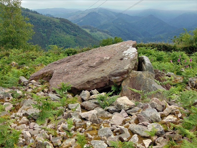 Sagastietako Lepua I Trikuharria
