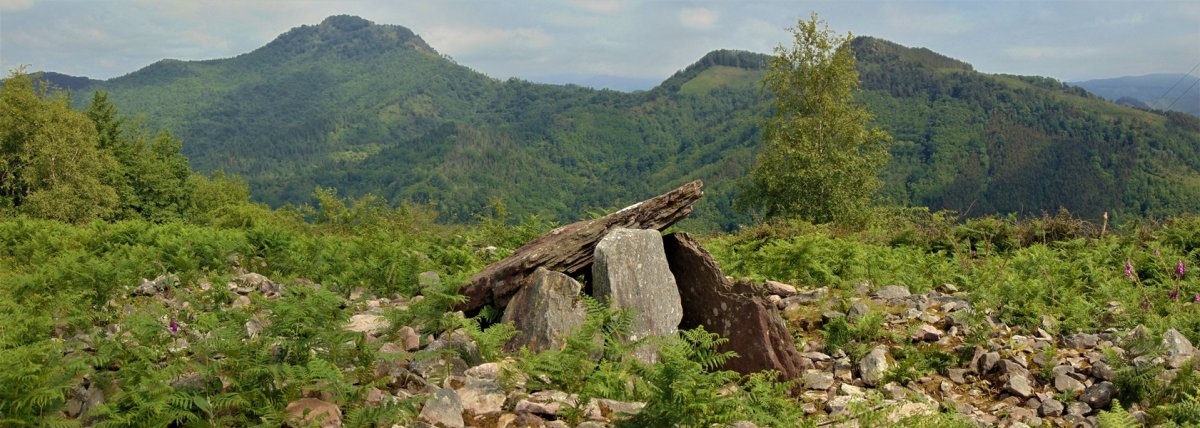 Sagastietako Lepua I Trikuharria