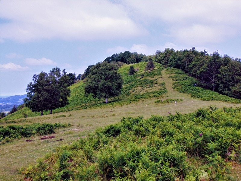 Sagastietako Lepotik