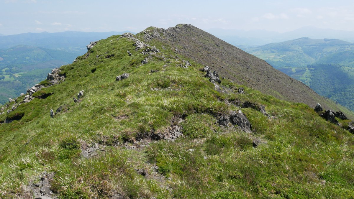 Monaxketa, HMko muturretik