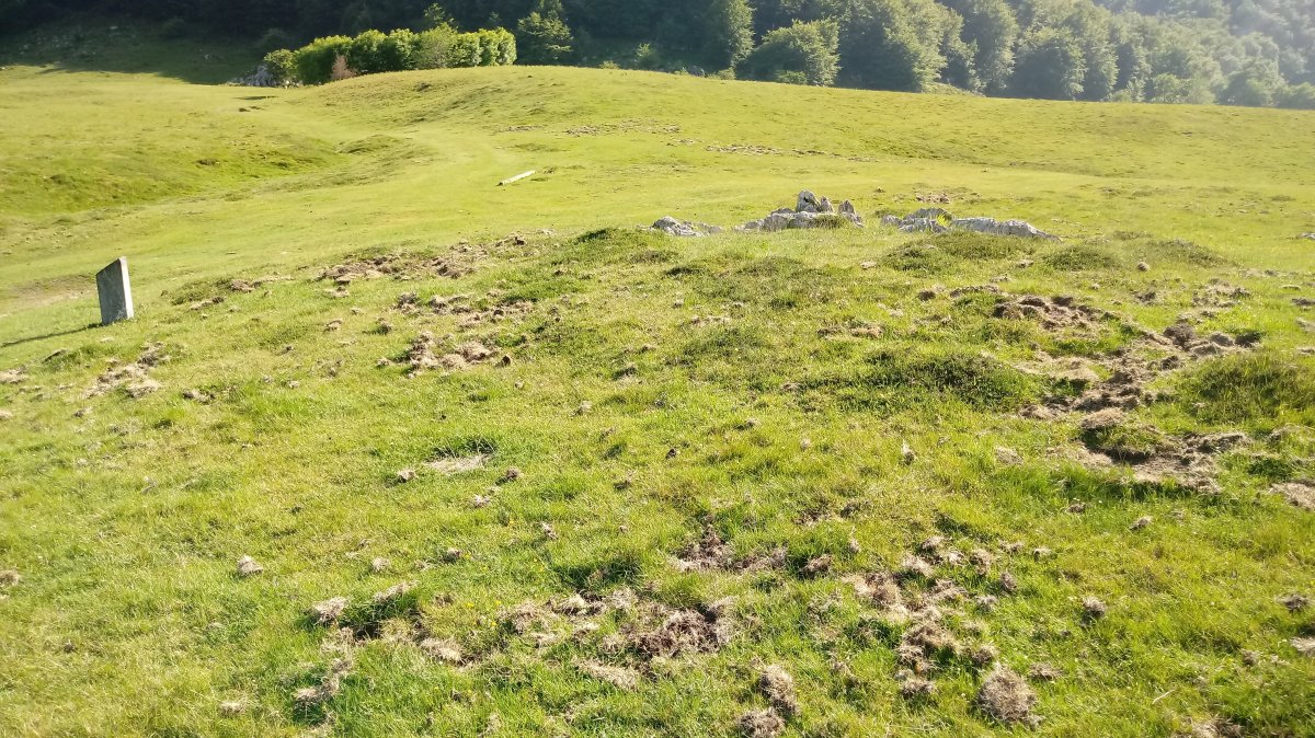 Deguria III tumuloa (2021)