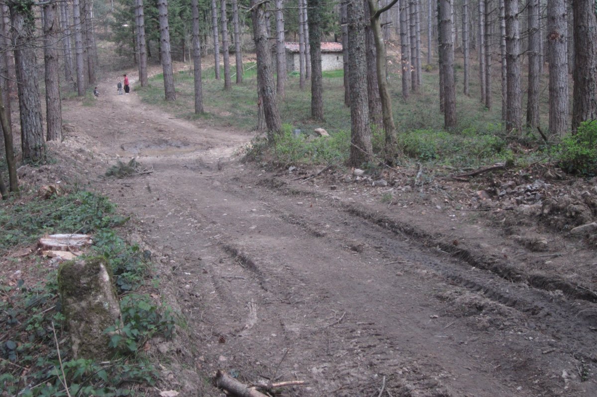 Txabola desde Túmulo Armorazabal (Marzo 2021)