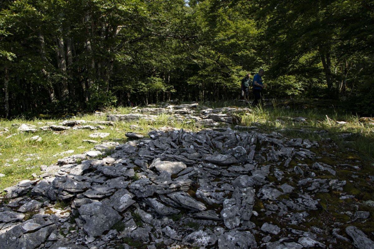 Txabola eraztun tumuluaren ondoan