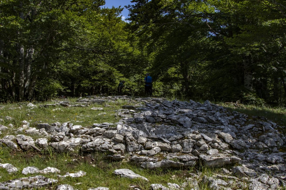 Eraztuna eta txabola Senda de Arroniz