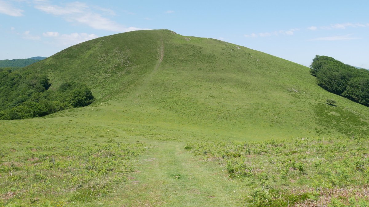 Erroberriko Gaina, Ello aldetik