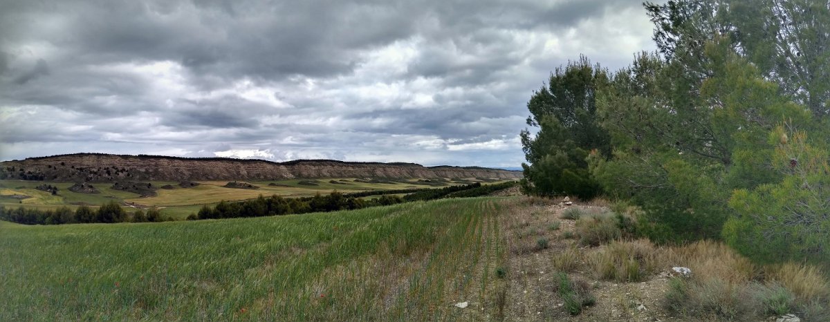 Sastre gaineko gailurra