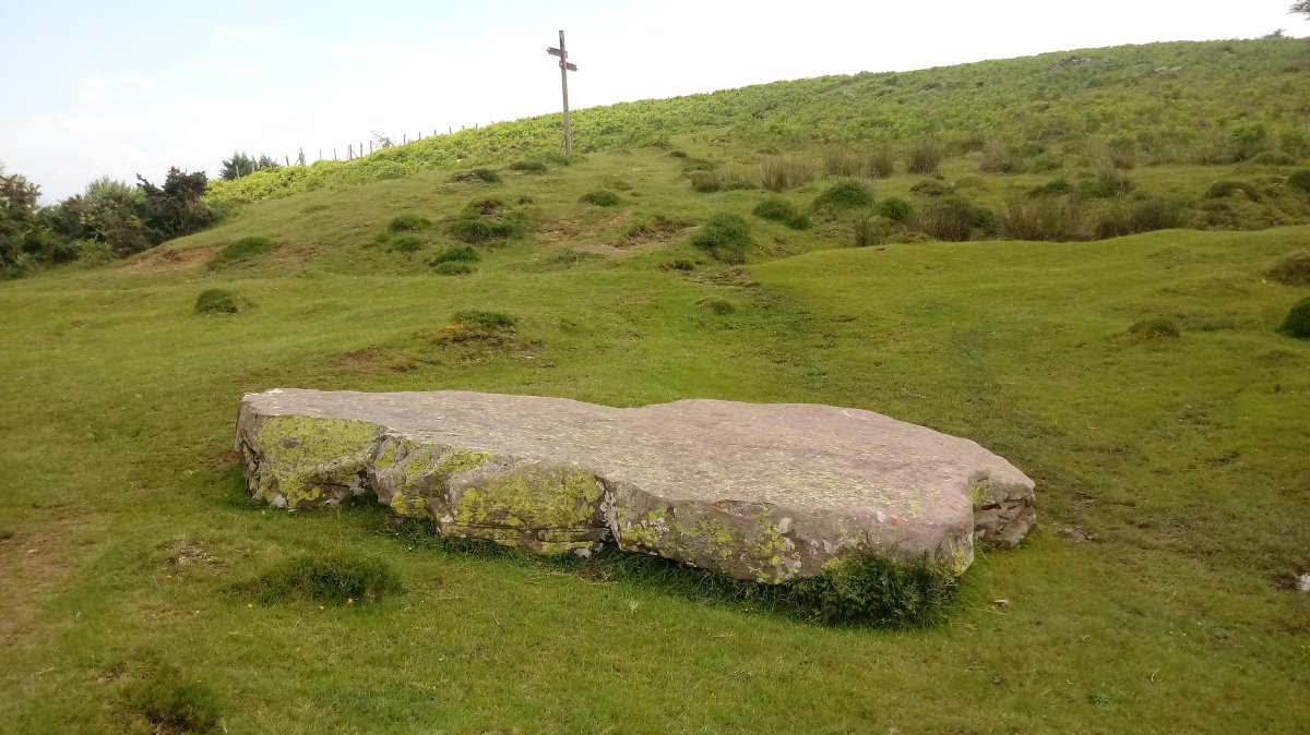 Argibelgo Lepoa zutarria