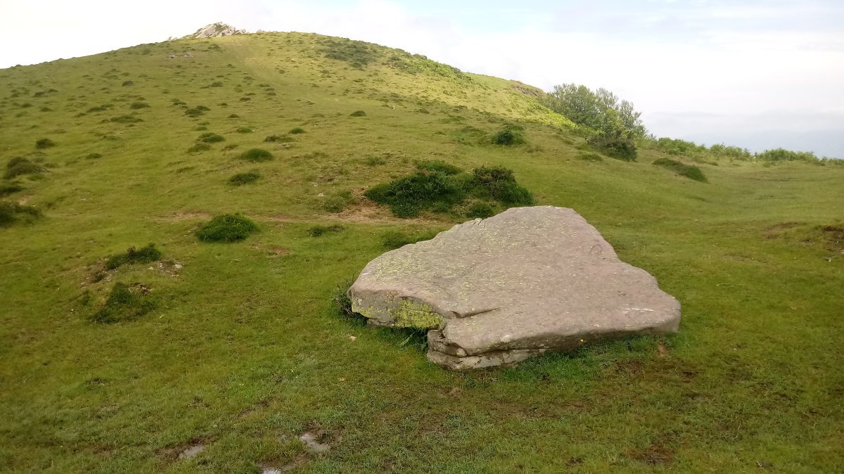 Argibelgo Lepoa zutarria (2021)