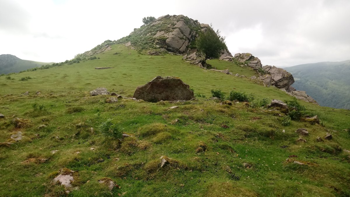 Larrebeltz I trikuharria