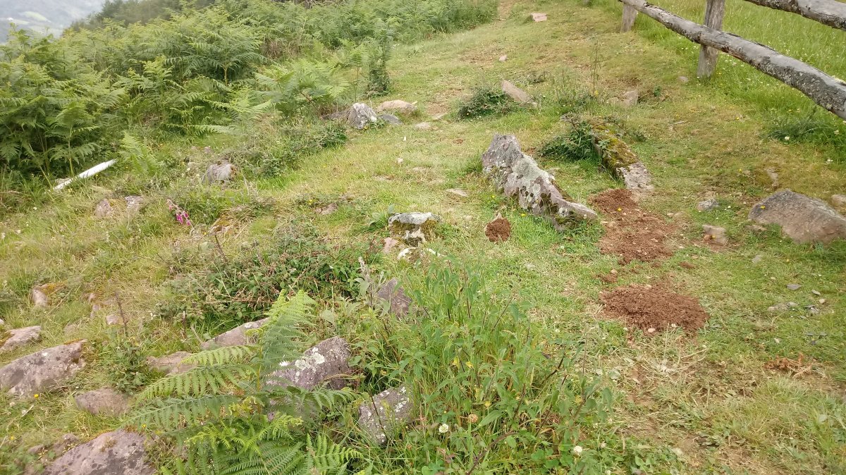 Tranpako borda trikuharria