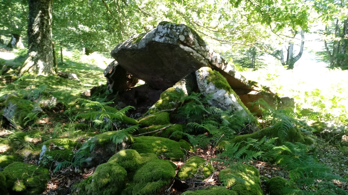 Erroldan trikuharria (2021)