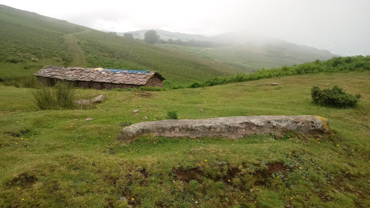 Legate zutarria (2021)